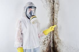 Best Mold Odor Removal Services  in Marlboro, NY